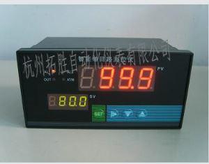 QQ-803系列數顯儀